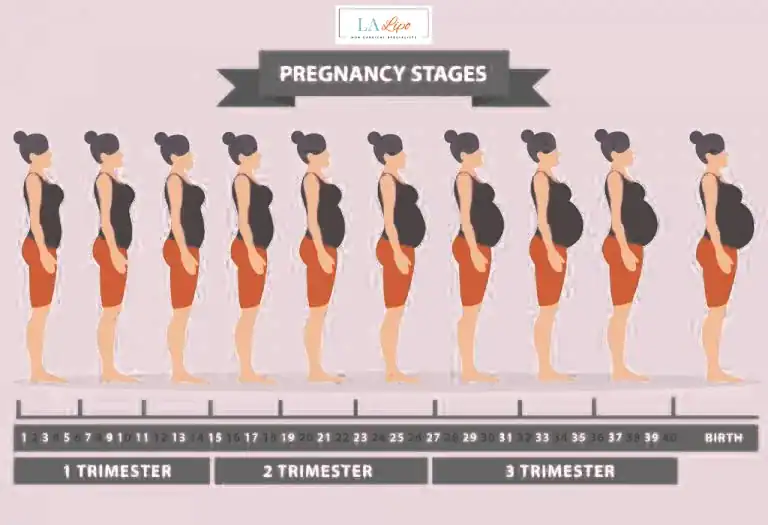 First Trimester (Weeks 1–12): Early Changes You Might Not Notice Liverpool